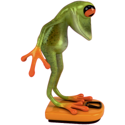 Autocollant Grenouille 9