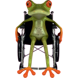 Autocollant Grenouille 10