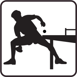 Ping Pong B
