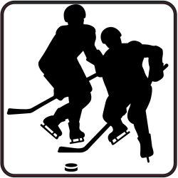 Hockey Sur Glace B