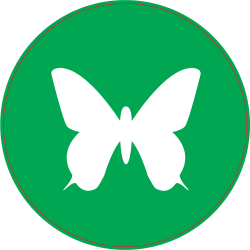 Panneau Vert Papillon