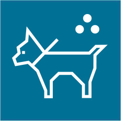 Panneau Indication Chiens autorisés 2