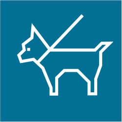 Panneau Indication Chiens autorisés