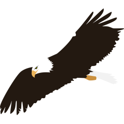 Autocollant Aigle En Vol