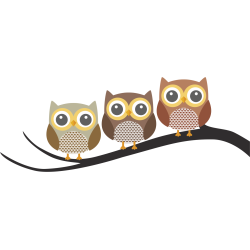 Autocollant Animaux Chouette 6