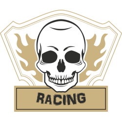 Autocollant Racing Skull Flammes