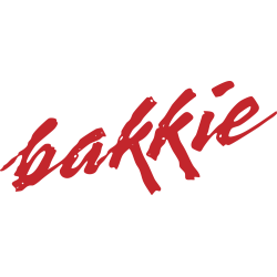 Autocollant Hyundai Bakkie