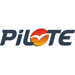 Autocollant Pilote Logo Dégradé