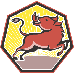 Autocollant Sanglier Course