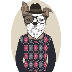 Autocollant Bouledogue Fashion