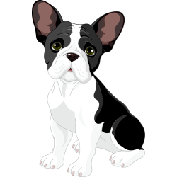 Autocollant Bouledogue Français