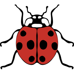 Autocollant Coccinelle 3