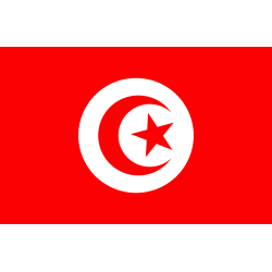Autocollant Drapeau Tunisie