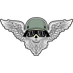 Autocollant Tête De Mort Moto Ailes