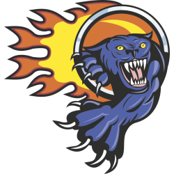 Autocollant Panthère Flammes