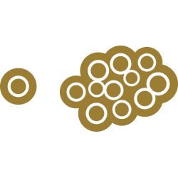Autocollant Cercle Moderne Or