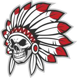 Autocollant Indien Skull 4