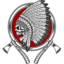 Autocollant Indien Skull 5