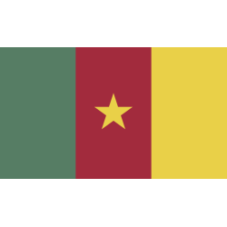 Autocollant Drapeau Cameroon