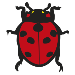 coccinelle