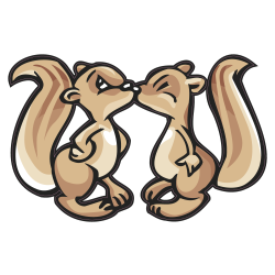 ecureuil pas content