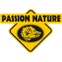 Passion nature sanglier