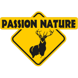 Passion nature cerf