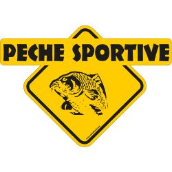 Peche Sportive carpe