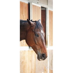 Sticker Porte Cheval
