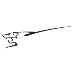 stickers peugeot Rc Cup