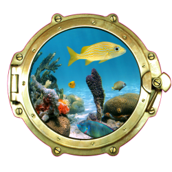 Sticker Trompe Oeil Hublot 9