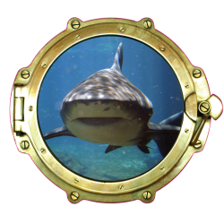 Sticker Trompe Oeil Hublot 10