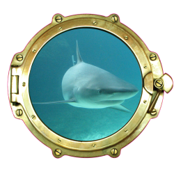 Sticker Trompe Oeil Hublot 11