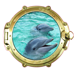 Sticker Trompe Oeil Hublot 12