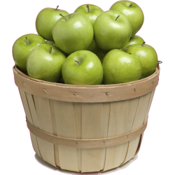 Panier de Pommes