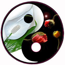 Autocollant mural YIN-YANG fleurs