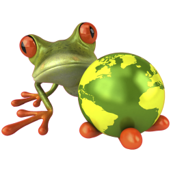 Autocollants grenouilles