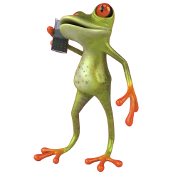 Autocollants grenouilles