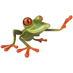 Autocollants grenouilles