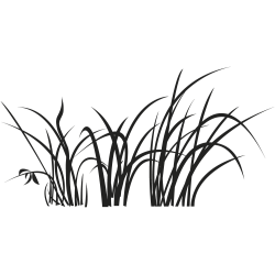 Sticker mural herbe