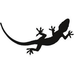 Sticker mural salamandre