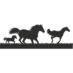 Stickers chevaux 1