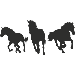 Stickers chevaux 3