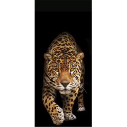 Sticker Porte Leopard 2