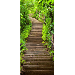 Escaliers En Trompe il 3