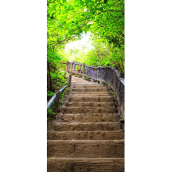 Escaliers En Trompe il 5