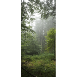 Sticker Porte Foret 1