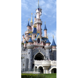 Enfants Château Disneyland