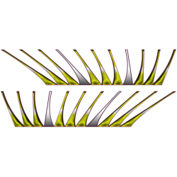 Autocollant Cils Jaune