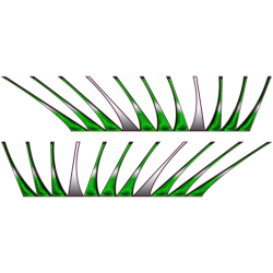 Autocollant Cils Vert